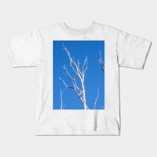 White tree limbs. Kids T-Shirt